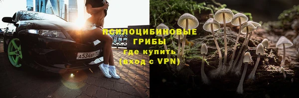 spice Аркадак
