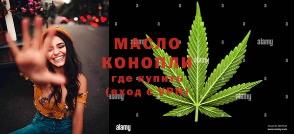 прущие крисы Бородино