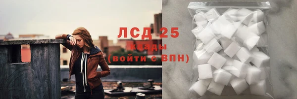 СК Ветлуга