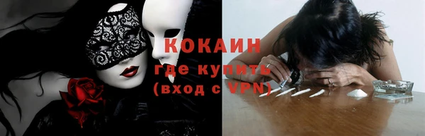 spice Аркадак