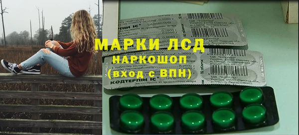 spice Аркадак