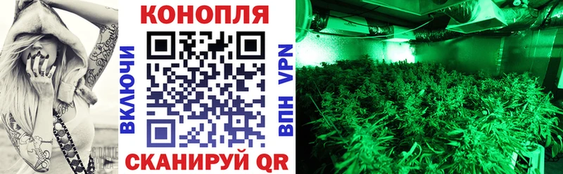 Каннабис ГИДРОПОН  OMG онион  Дмитриев 